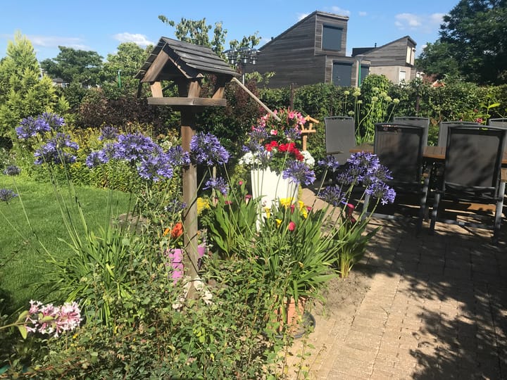 Foto 48 van Banmolen 10