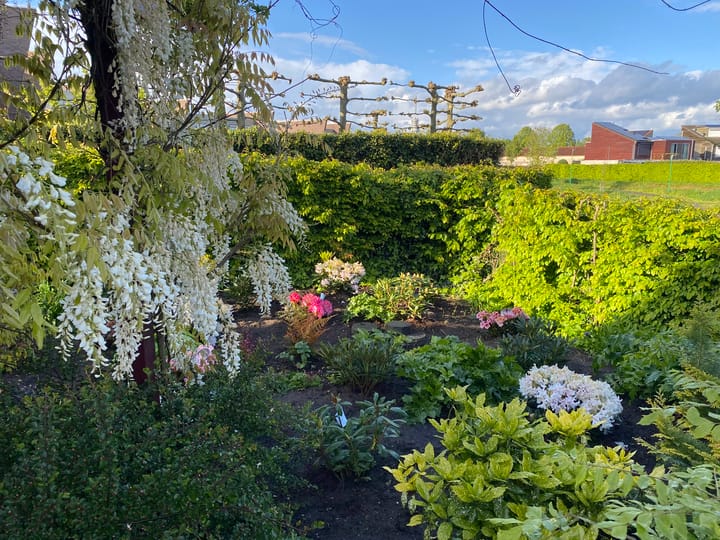 Foto 49 van Banmolen 10