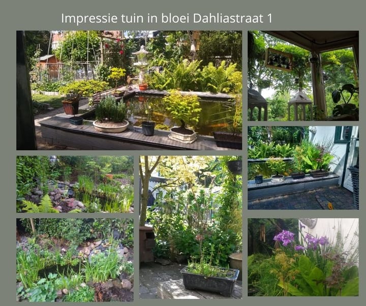 Foto 27 van Dahliastraat 1