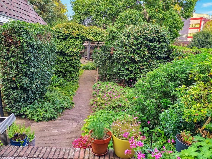 Foto 47 van Molenstraat 126