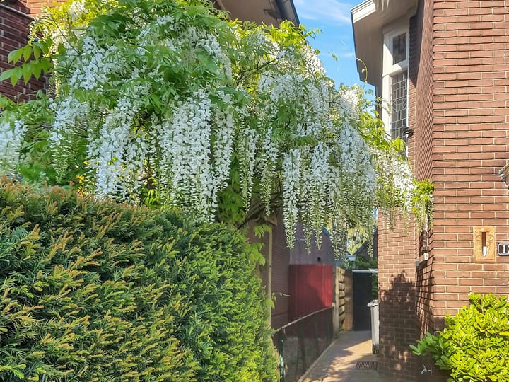 Foto 51 van Molenstraat 126