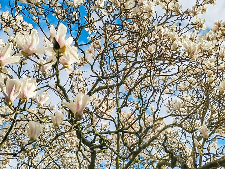 Foto 52 van Molenstraat 126