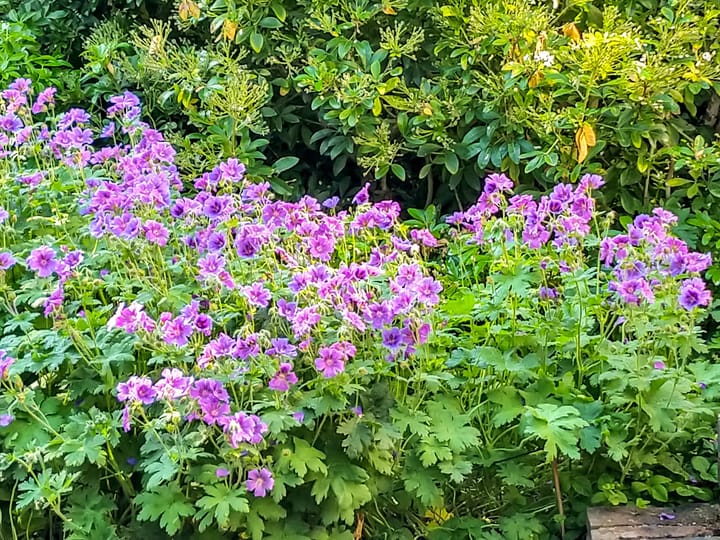 Foto 53 van Molenstraat 126