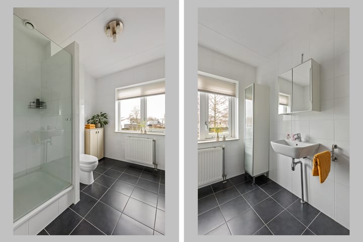 Foto 4 van Veldleeuwerik 16