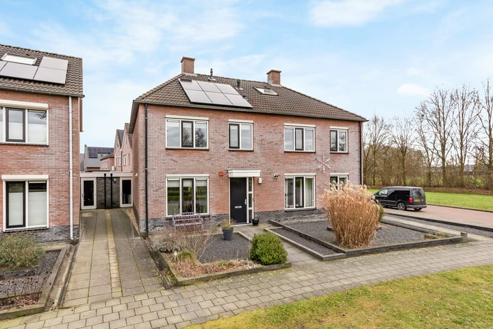 Foto 5 van Veldleeuwerik 16