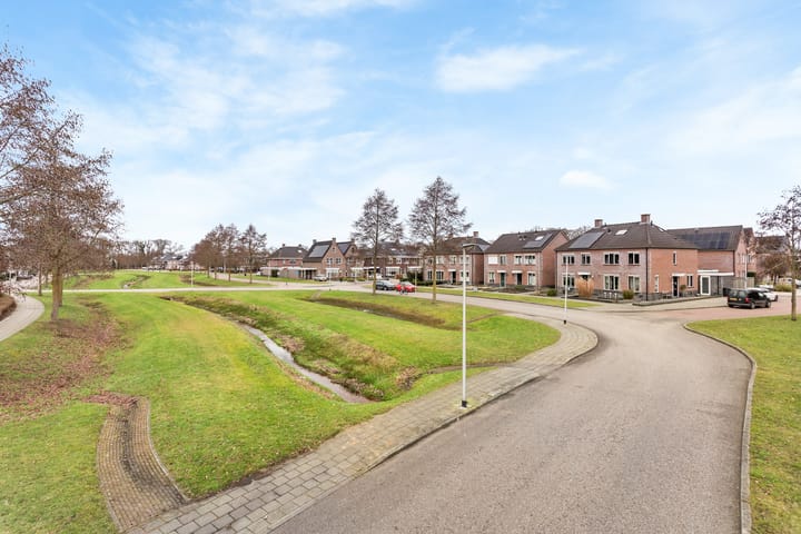 Foto 6 van Veldleeuwerik 16