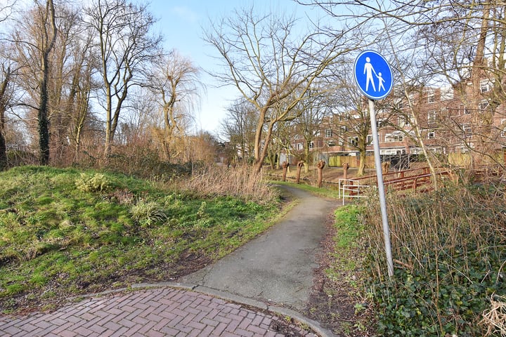 Bekijk foto 41 van Strausslaan 68