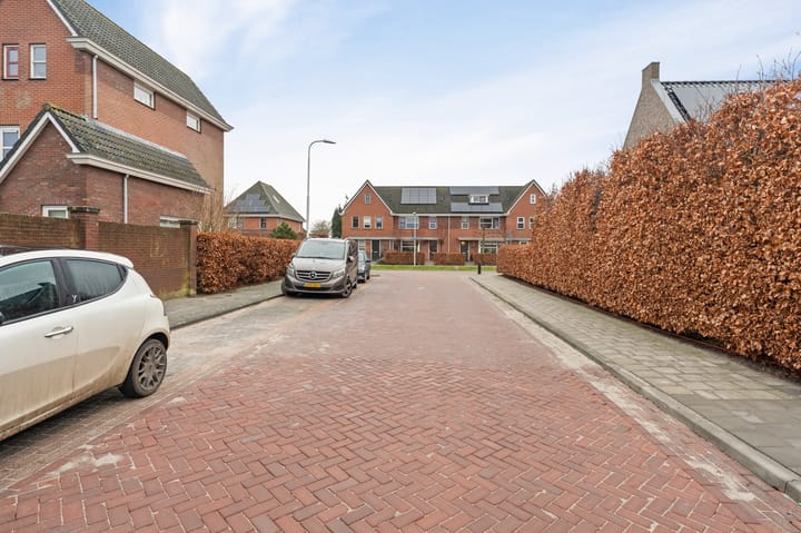 Photo 8 of Jan van Goyen 2