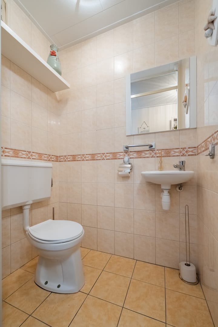 Photo 12 of Jan van Goyen 2