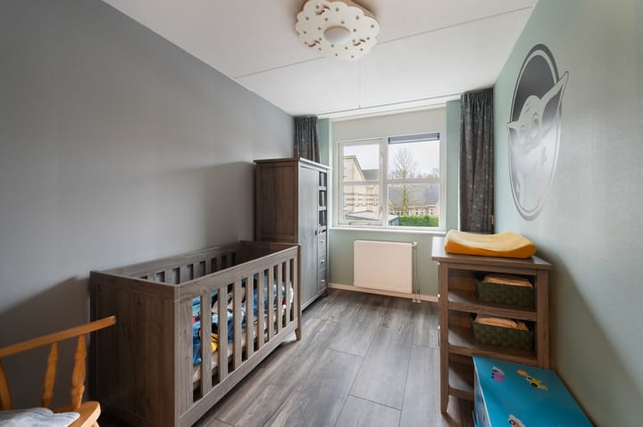 Photo 36 of Jan van Goyen 2