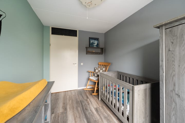 Photo 37 of Jan van Goyen 2