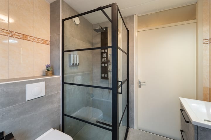 Photo 42 of Jan van Goyen 2