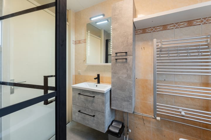 Photo 44 of Jan van Goyen 2