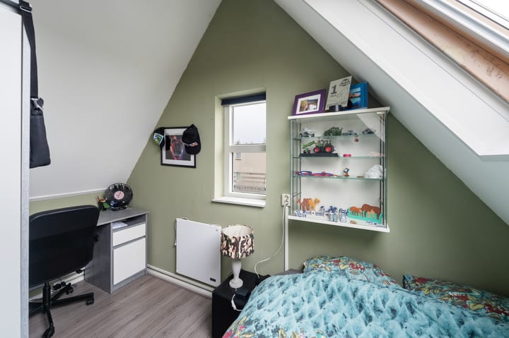 Photo 50 of Jan van Goyen 2