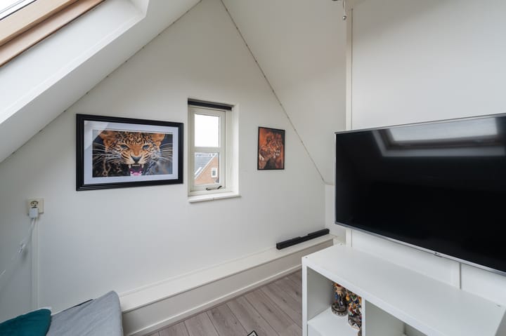 Photo 53 of Jan van Goyen 2