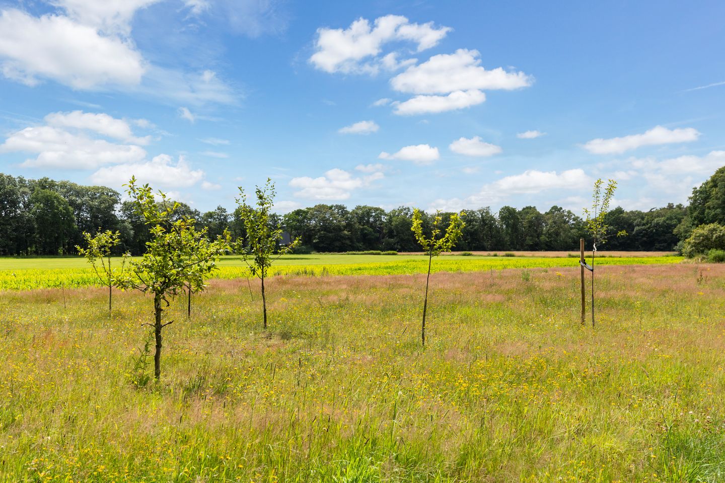 Foto 64 van Slaghekkedwarsweg 30