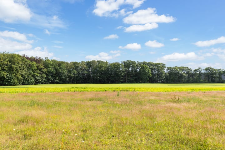 Bekijk foto 74 van Slaghekkedwarsweg 30