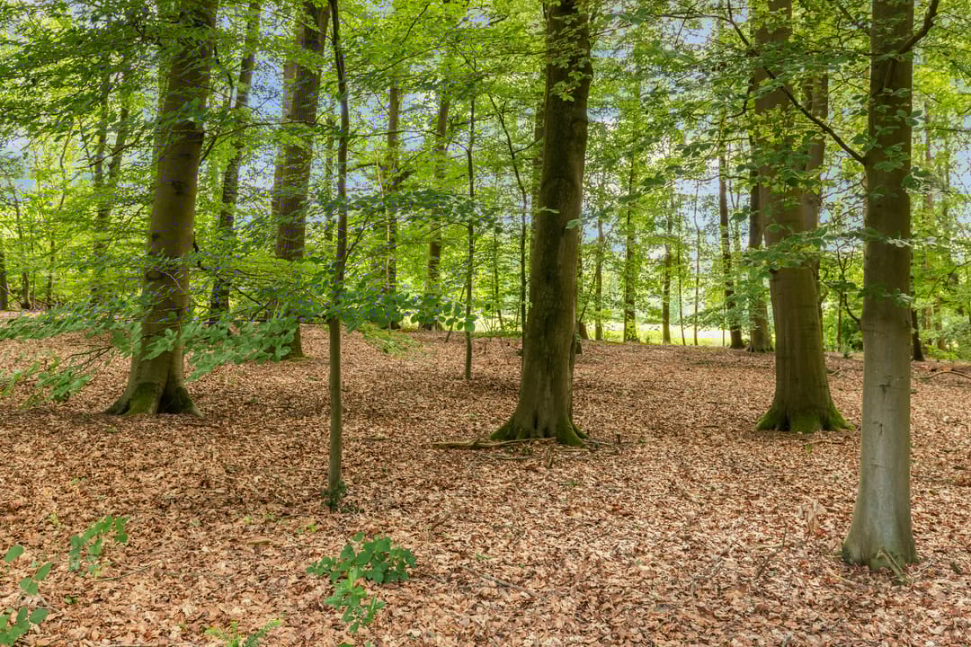 Foto 76 van Slaghekkedwarsweg 30