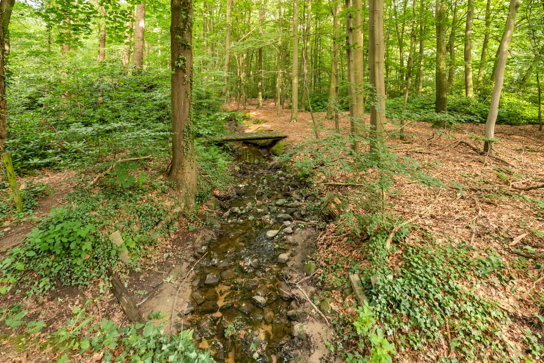 Foto 77 van Slaghekkedwarsweg 30