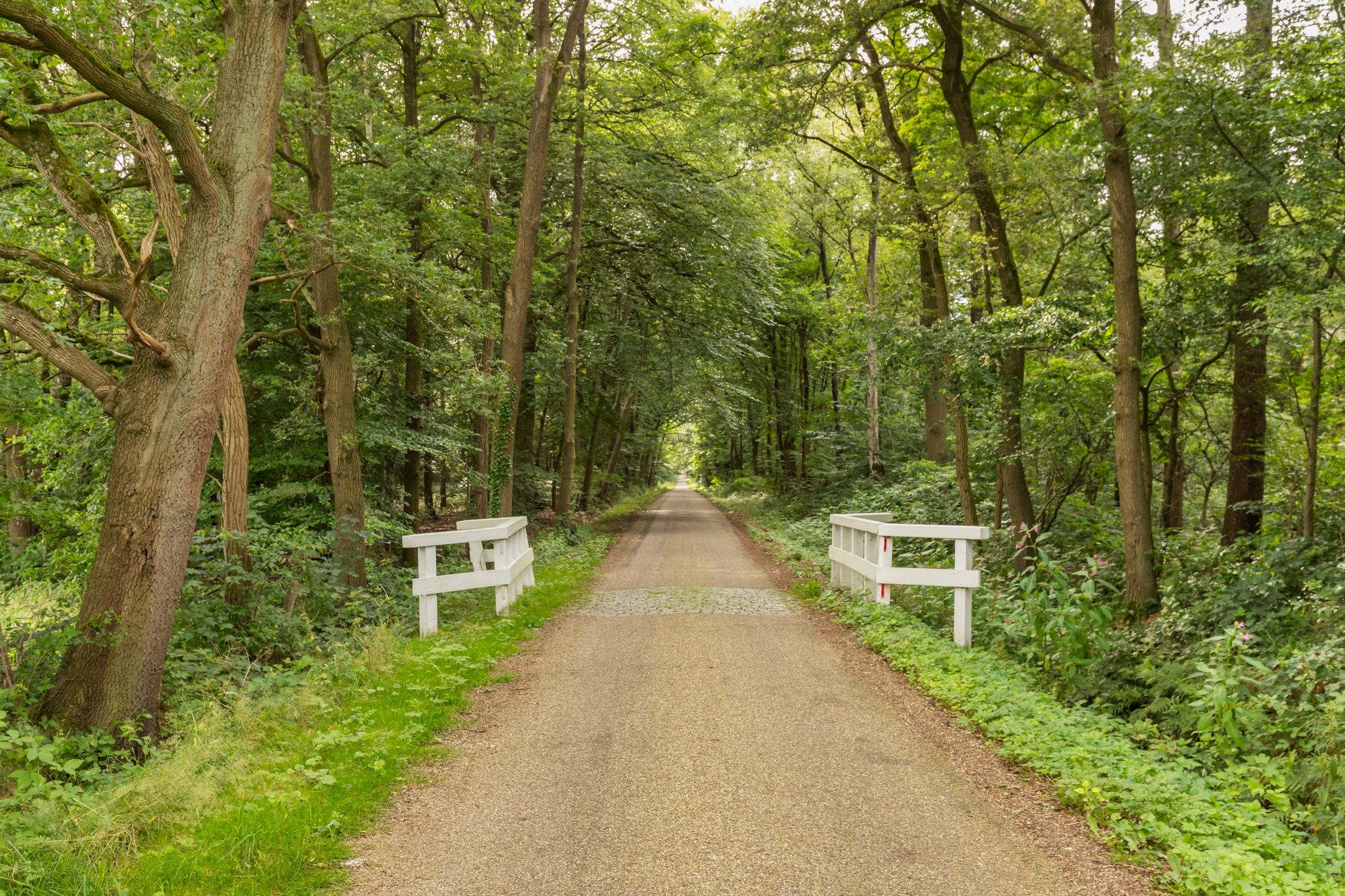 Foto 78 van Slaghekkedwarsweg 30