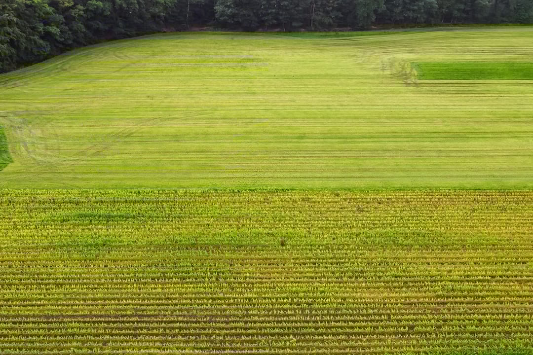 Foto 98 van Slaghekkedwarsweg 30