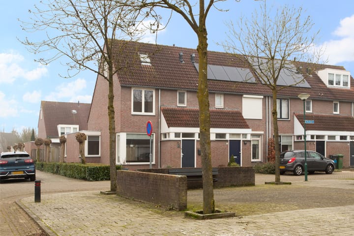 Foto 3 van Boekweit 36