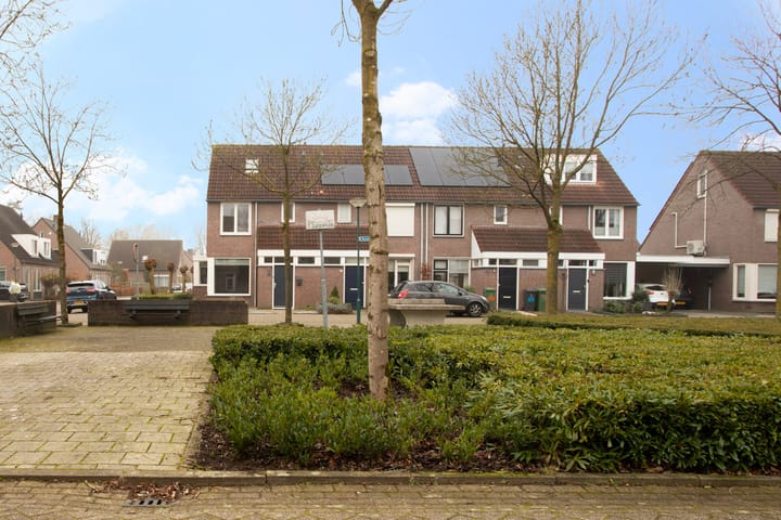 Foto 28 van Boekweit 36