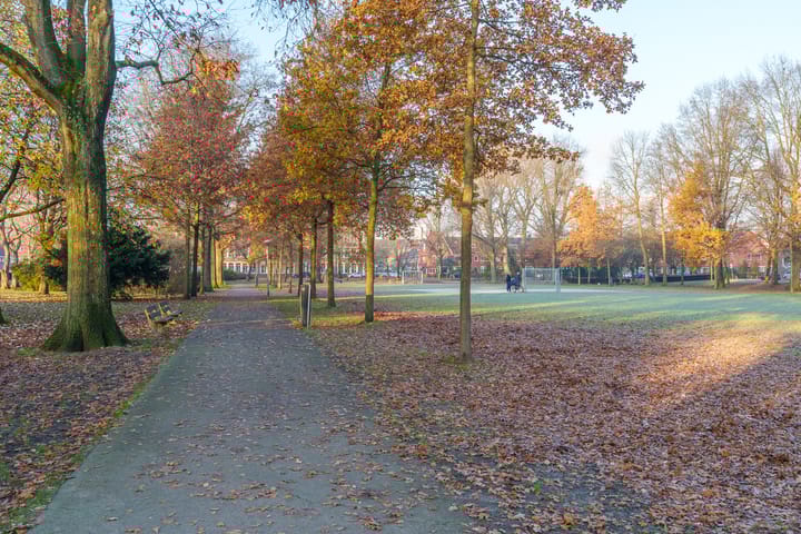 Foto 35 van Queridostraat 29-BS