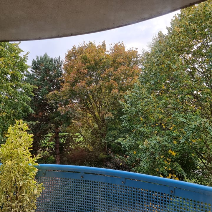 Foto 18 van Mandolinestraat 153