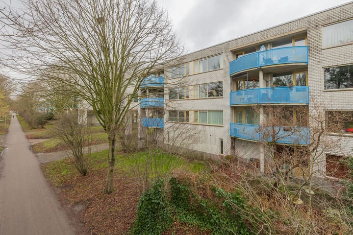 Foto 39 van Mandolinestraat 153