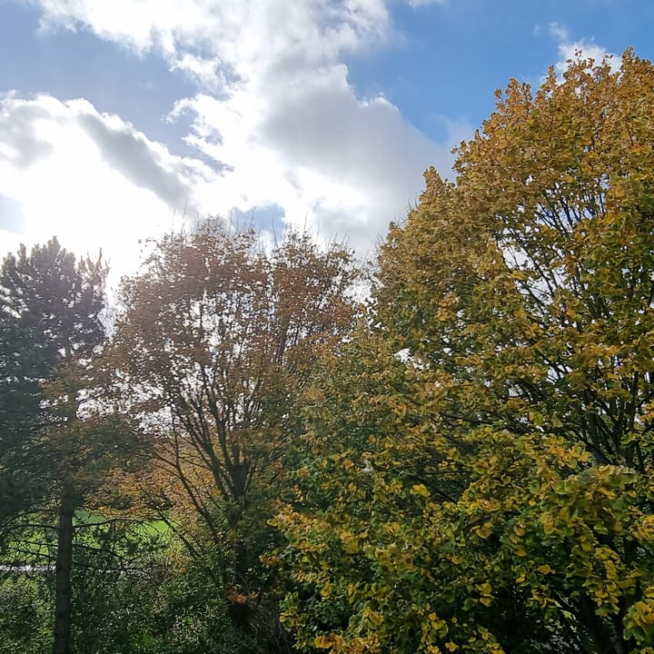 Foto 43 van Mandolinestraat 153