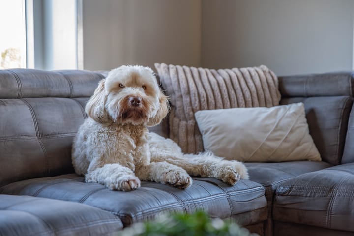 Photo 36 of Moleneind 4