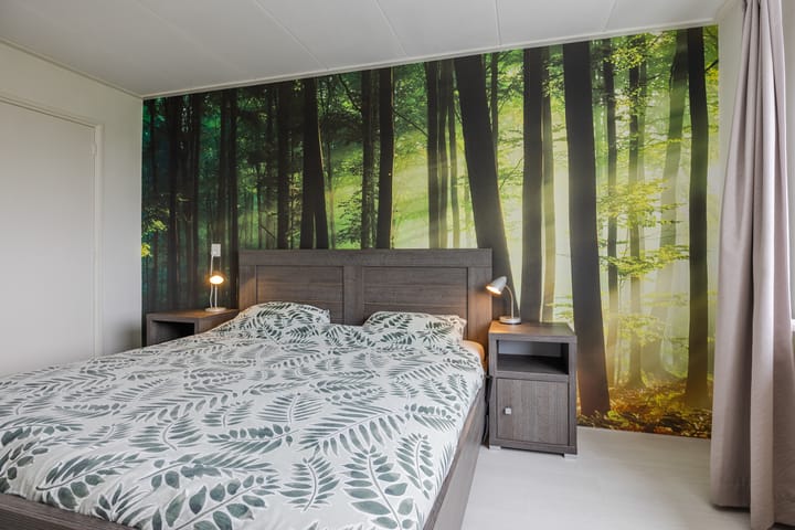 Foto 33 van Graaf Lodewijkstraat 31