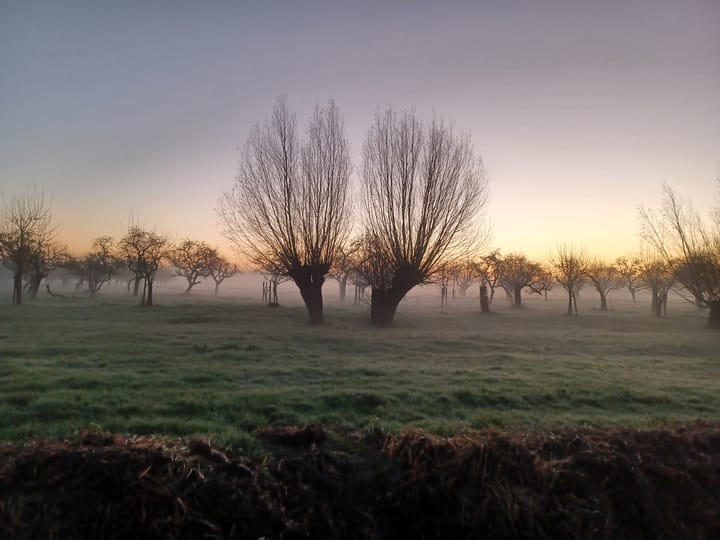 Foto 55 van Graaf Lodewijkstraat 31