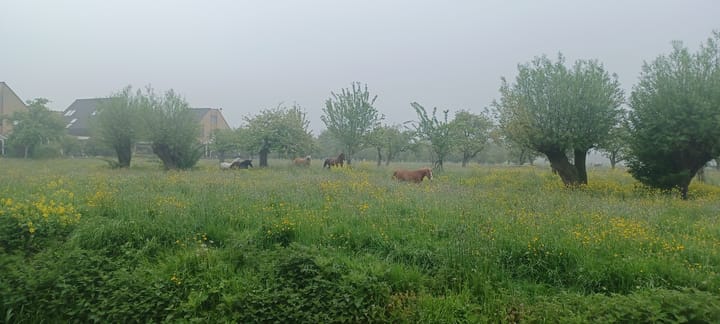 Foto 62 van Graaf Lodewijkstraat 31