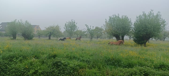 Foto 63 van Graaf Lodewijkstraat 31