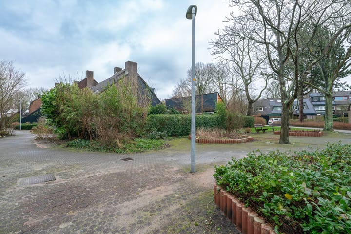 Foto 50 van Koggewaard 100