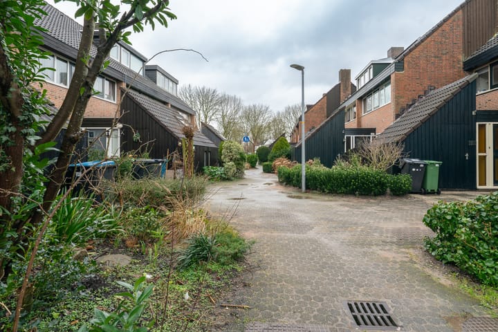 Foto 51 van Koggewaard 100