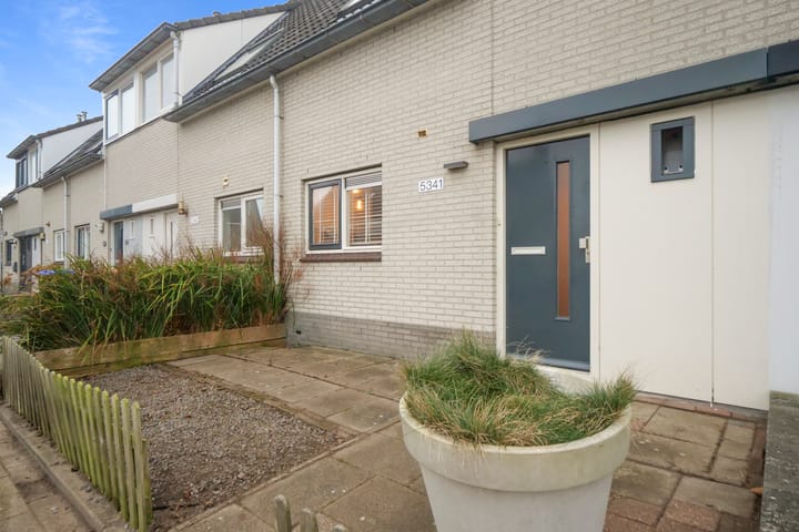 Foto 5 van Kruiszwin 5341