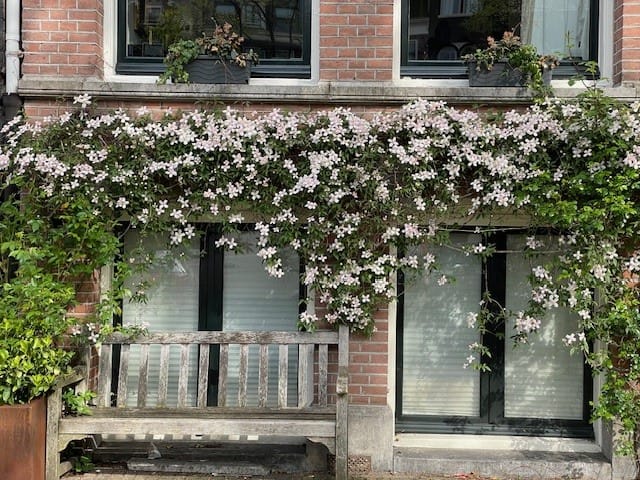 Foto 5 van Nieuwe Achtergracht 101-O