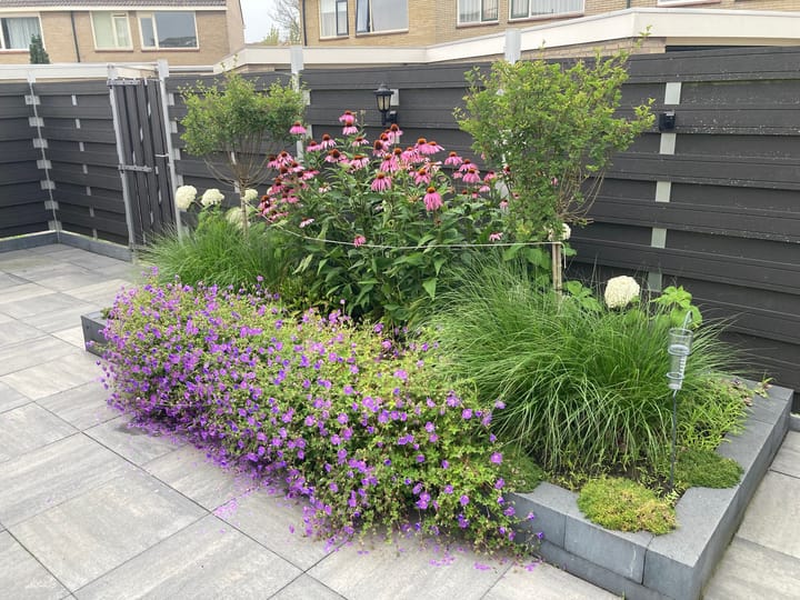 Foto 21 van Dillenburglaan 16