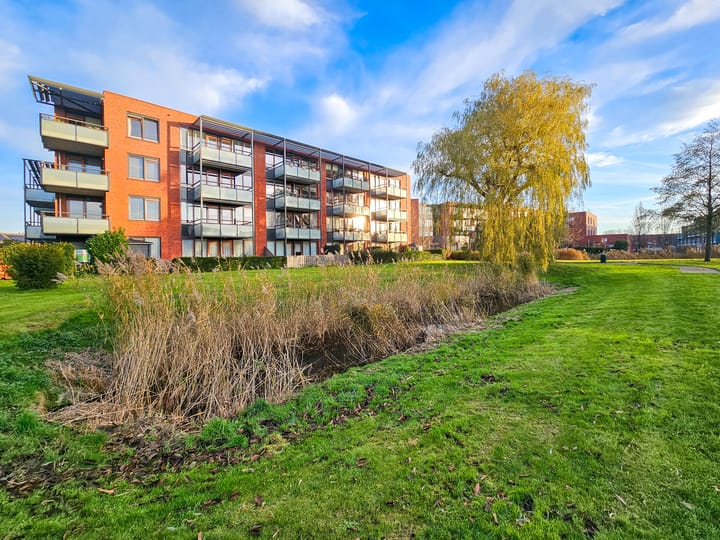 Foto 1 van Polaris 8