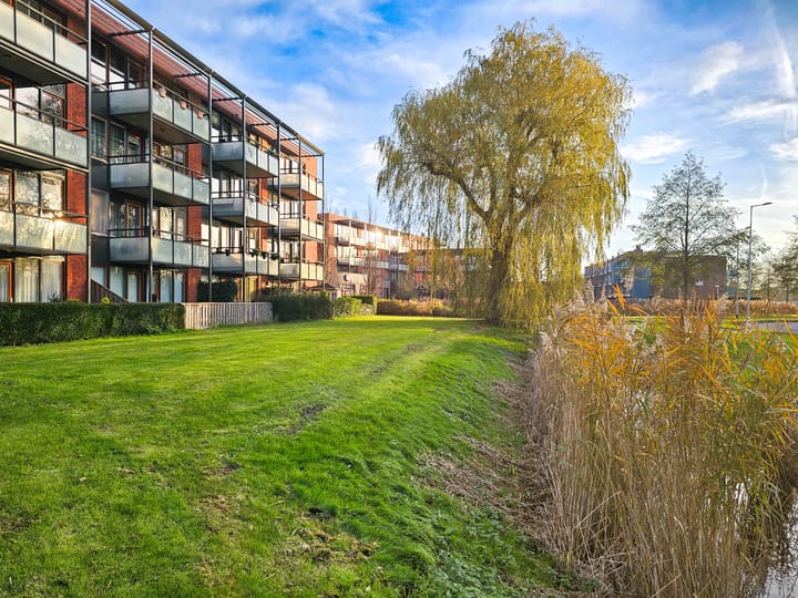 Foto 6 van Polaris 8