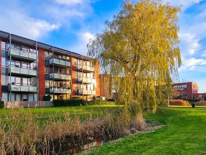 Foto 7 van Polaris 8