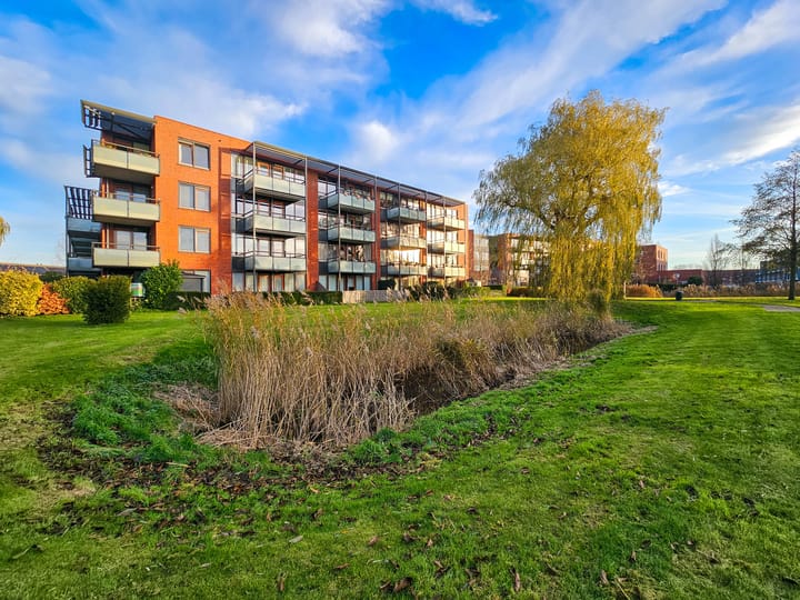 Foto 8 van Polaris 8