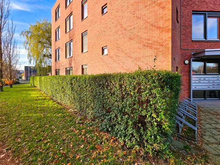 Foto 10 van Polaris 8