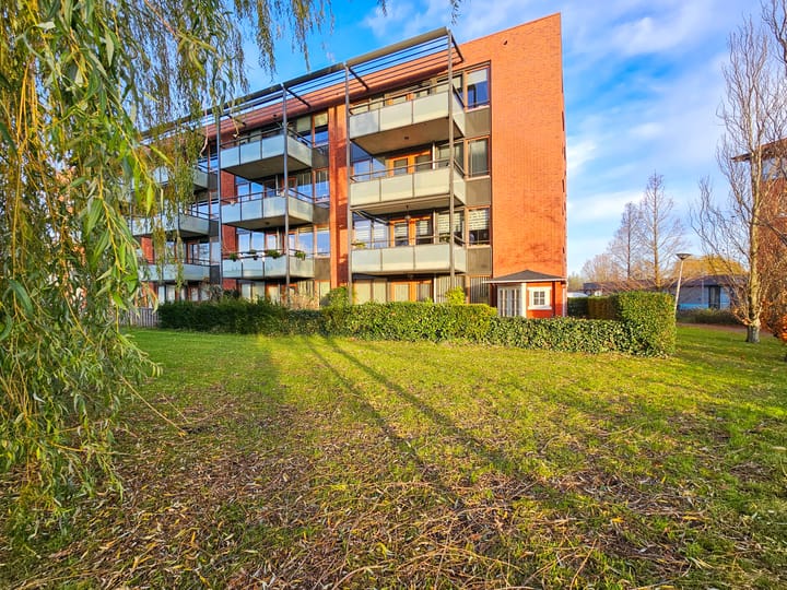 Foto 11 van Polaris 8