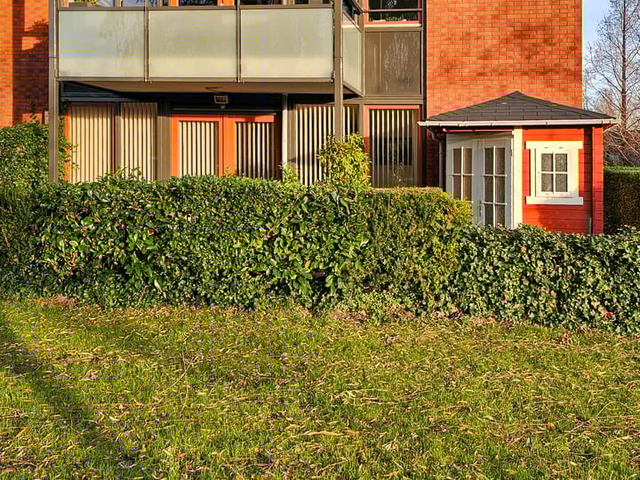 Foto 12 van Polaris 8