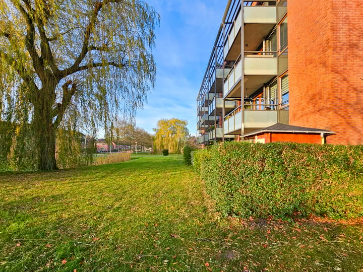 Foto 13 van Polaris 8