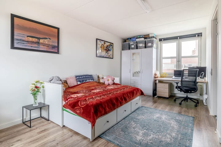 Photo 26 of Boreasplantsoen 79